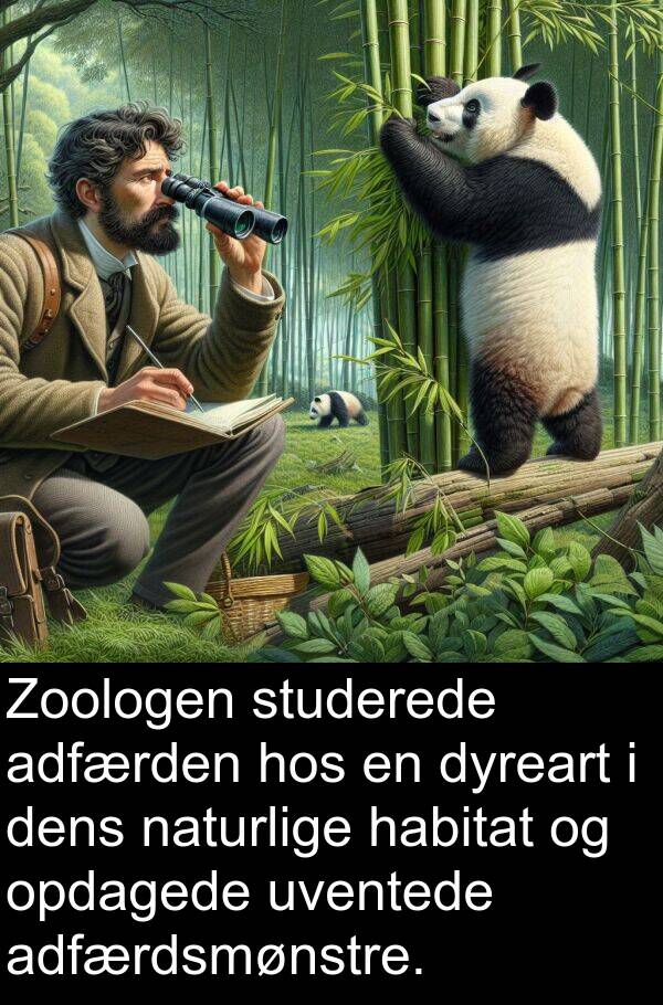 habitat: Zoologen studerede adfærden hos en dyreart i dens naturlige habitat og opdagede uventede adfærdsmønstre.