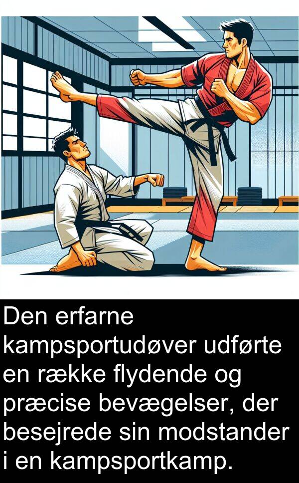 flydende: Den erfarne kampsportudøver udførte en række flydende og præcise bevægelser, der besejrede sin modstander i en kampsportkamp.