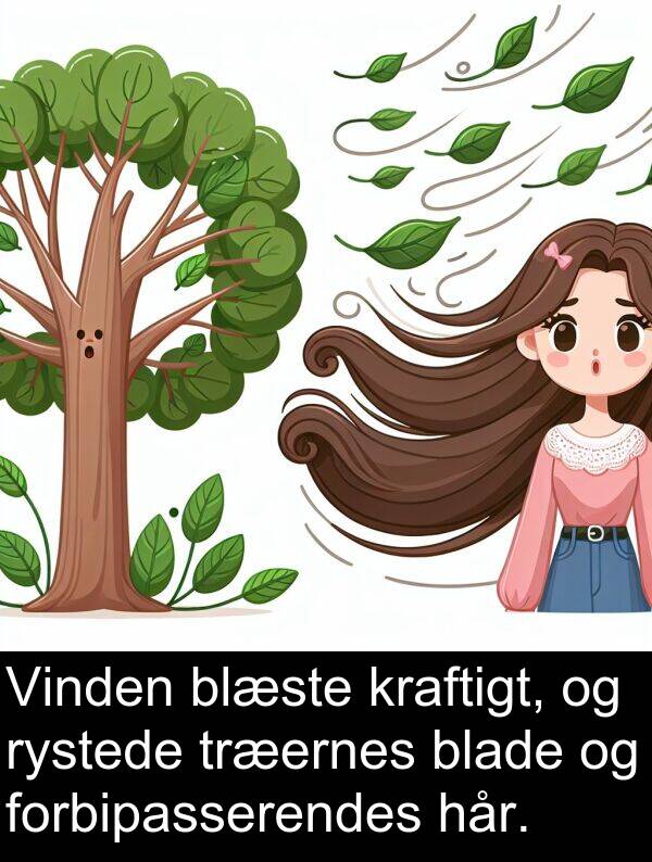 hår: Vinden blæste kraftigt, og rystede træernes blade og forbipasserendes hår.