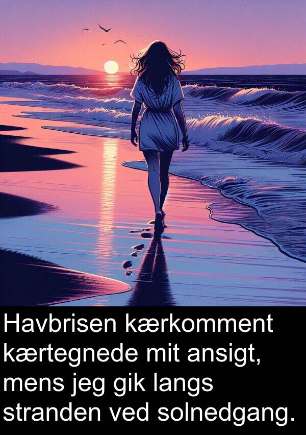kærkomment: Havbrisen kærkomment kærtegnede mit ansigt, mens jeg gik langs stranden ved solnedgang.