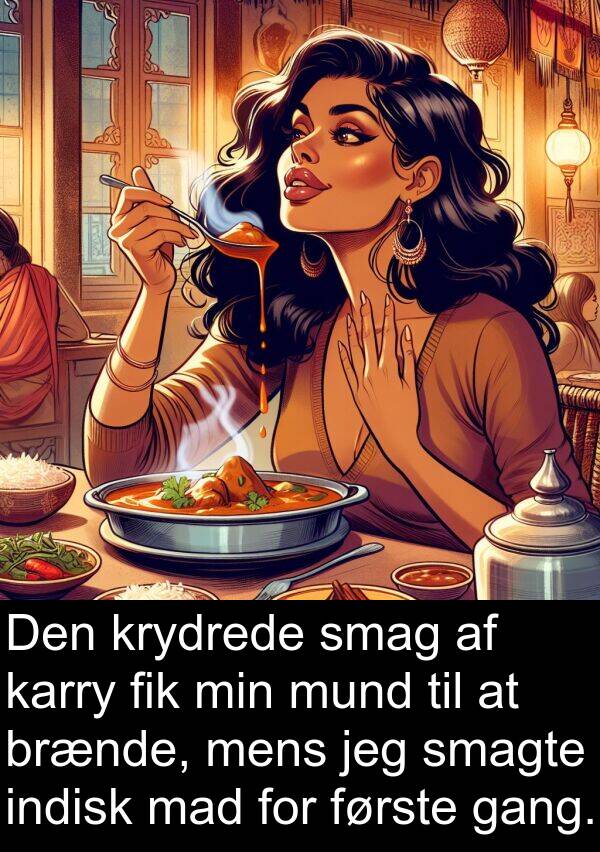krydrede: Den krydrede smag af karry fik min mund til at brænde, mens jeg smagte indisk mad for første gang.
