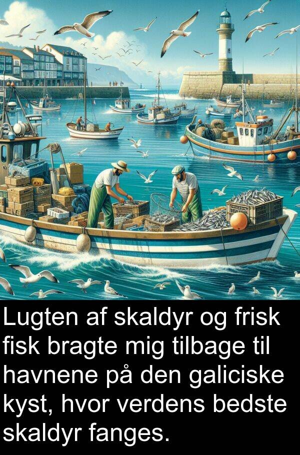 kyst: Lugten af skaldyr og frisk fisk bragte mig tilbage til havnene på den galiciske kyst, hvor verdens bedste skaldyr fanges.
