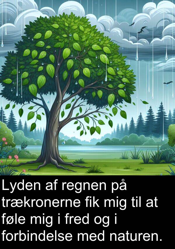 fred: Lyden af regnen på trækronerne fik mig til at føle mig i fred og i forbindelse med naturen.