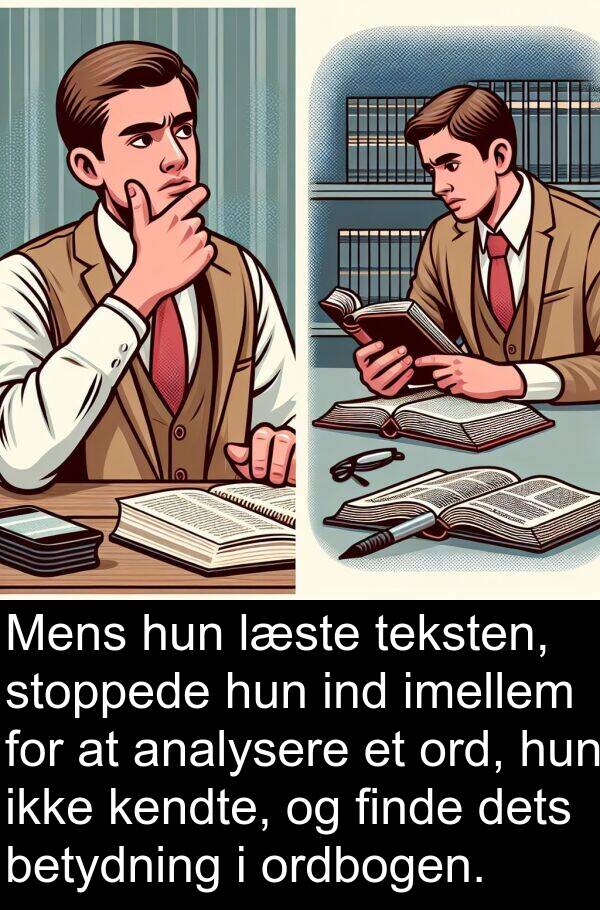 kendte: Mens hun læste teksten, stoppede hun ind imellem for at analysere et ord, hun ikke kendte, og finde dets betydning i ordbogen.