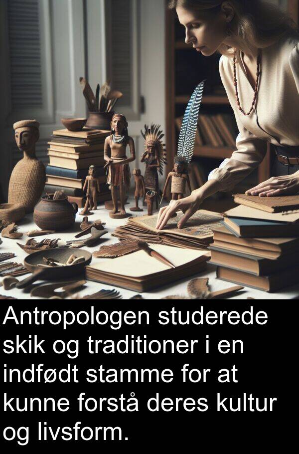 kultur: Antropologen studerede skik og traditioner i en indfødt stamme for at kunne forstå deres kultur og livsform.