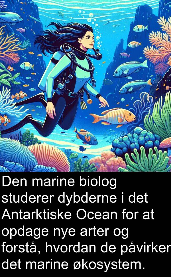 økosystem: Den marine biolog studerer dybderne i det Antarktiske Ocean for at opdage nye arter og forstå, hvordan de påvirker det marine økosystem.