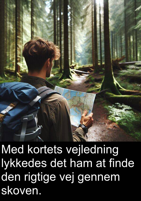 kortets: Med kortets vejledning lykkedes det ham at finde den rigtige vej gennem skoven.