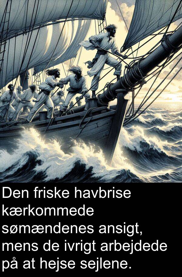 kærkommede: Den friske havbrise kærkommede sømændenes ansigt, mens de ivrigt arbejdede på at hejse sejlene.