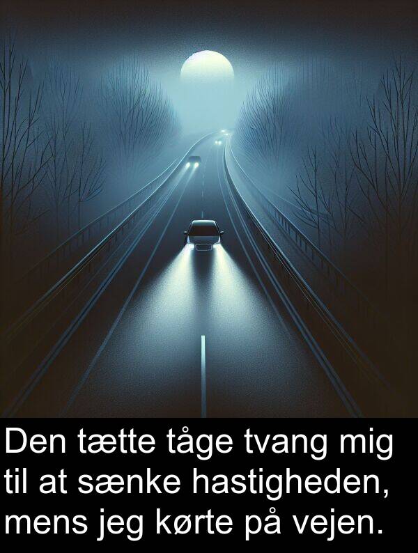 kørte: Den tætte tåge tvang mig til at sænke hastigheden, mens jeg kørte på vejen.