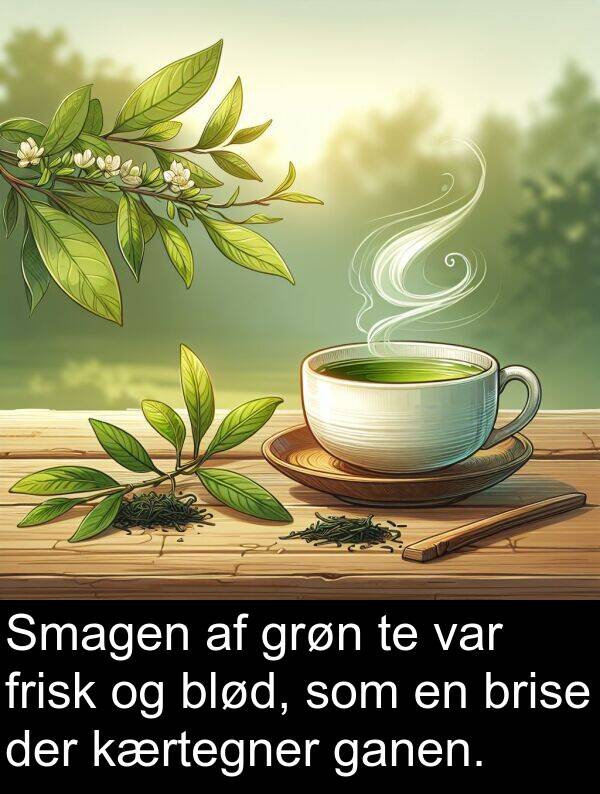 kærtegner: Smagen af grøn te var frisk og blød, som en brise der kærtegner ganen.