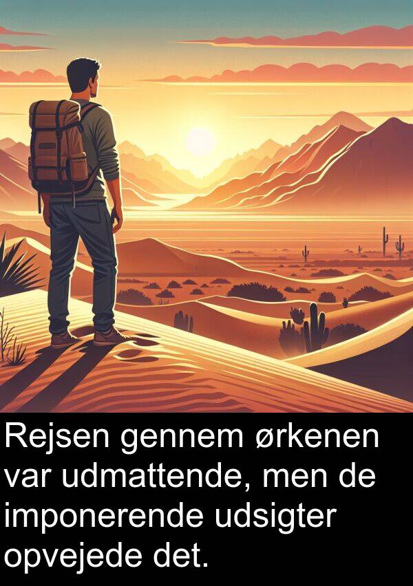 udmattende: Rejsen gennem ørkenen var udmattende, men de imponerende udsigter opvejede det.