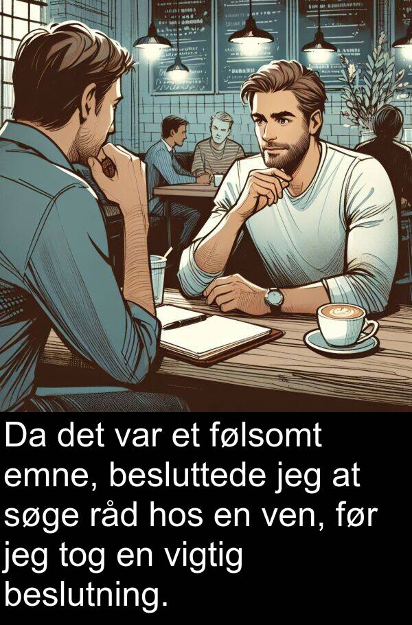 vigtig: Da det var et følsomt emne, besluttede jeg at søge råd hos en ven, før jeg tog en vigtig beslutning.