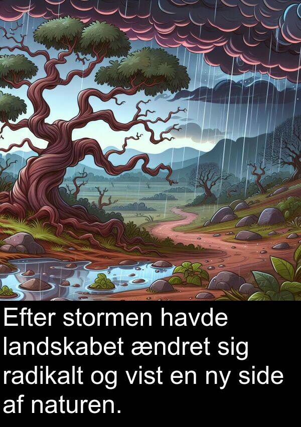 vist: Efter stormen havde landskabet ændret sig radikalt og vist en ny side af naturen.