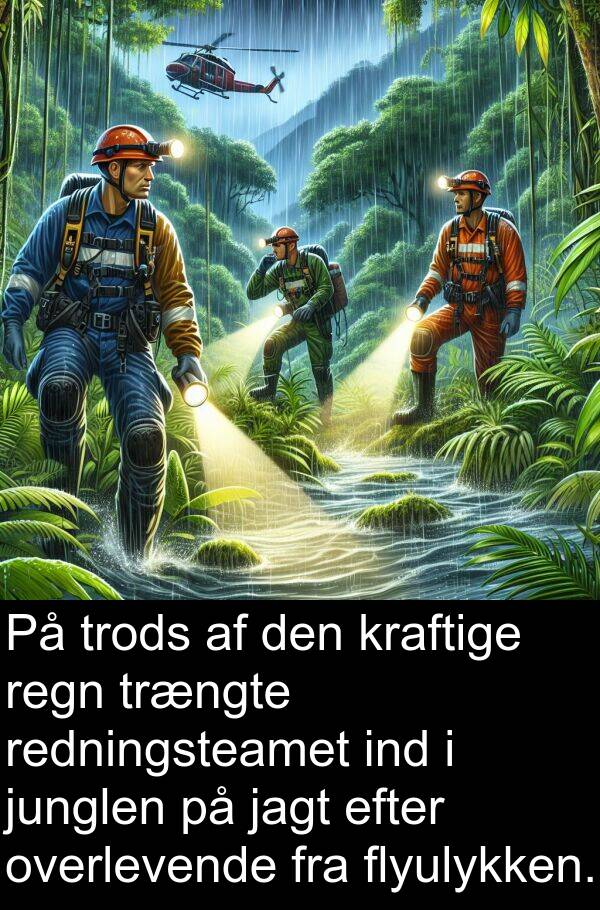 kraftige: På trods af den kraftige regn trængte redningsteamet ind i junglen på jagt efter overlevende fra flyulykken.