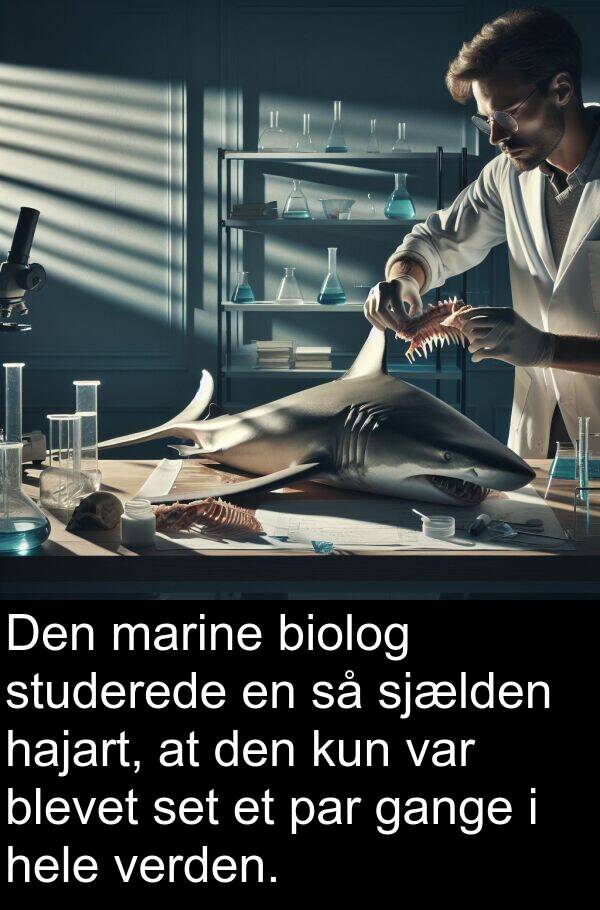 kun: Den marine biolog studerede en så sjælden hajart, at den kun var blevet set et par gange i hele verden.