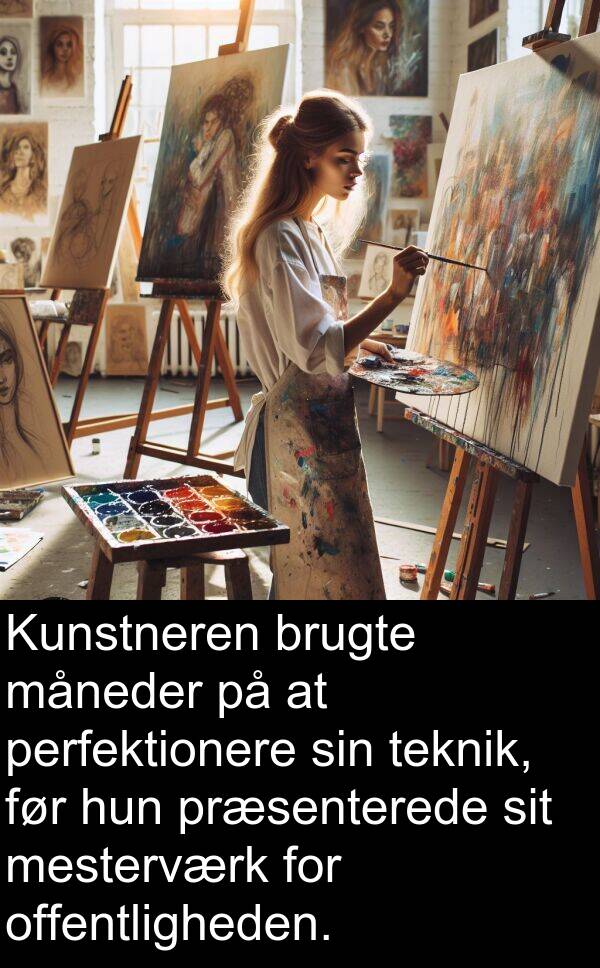 måneder: Kunstneren brugte måneder på at perfektionere sin teknik, før hun præsenterede sit mesterværk for offentligheden.