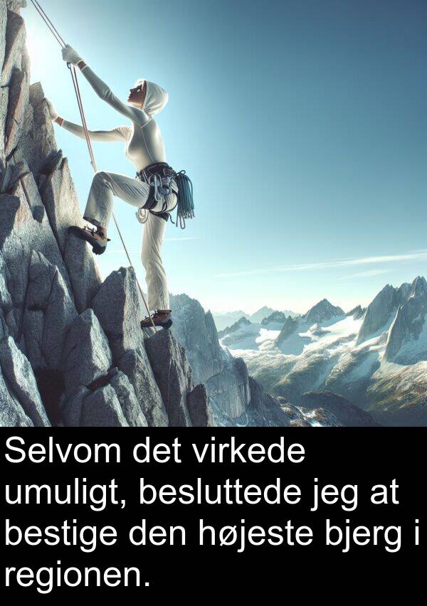 virkede: Selvom det virkede umuligt, besluttede jeg at bestige den højeste bjerg i regionen.