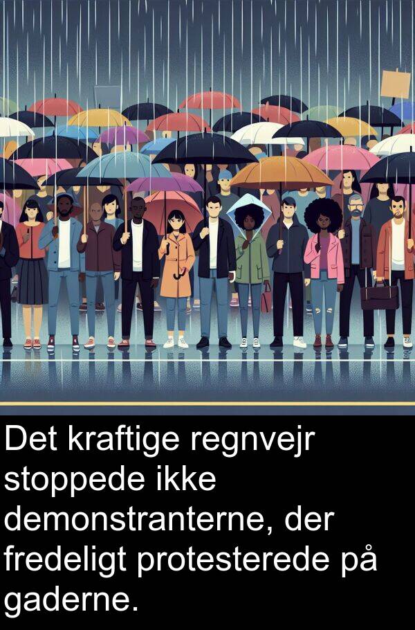 kraftige: Det kraftige regnvejr stoppede ikke demonstranterne, der fredeligt protesterede på gaderne.