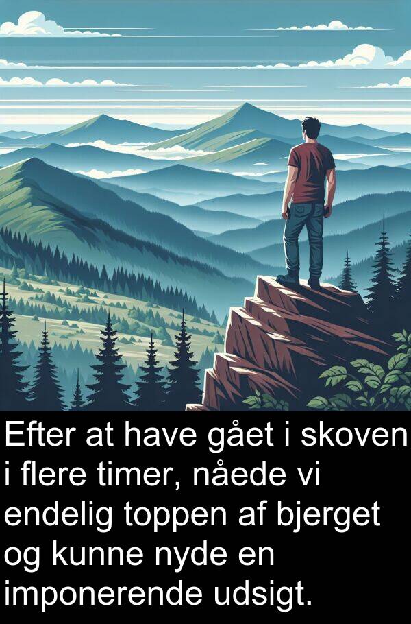 gået: Efter at have gået i skoven i flere timer, nåede vi endelig toppen af bjerget og kunne nyde en imponerende udsigt.
