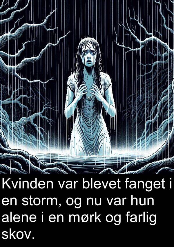 mørk: Kvinden var blevet fanget i en storm, og nu var hun alene i en mørk og farlig skov.