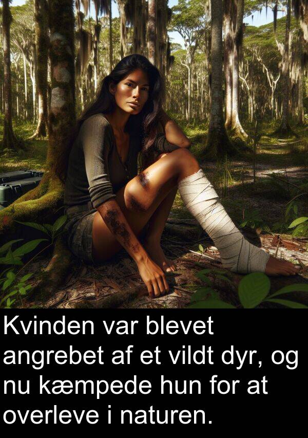 kæmpede: Kvinden var blevet angrebet af et vildt dyr, og nu kæmpede hun for at overleve i naturen.