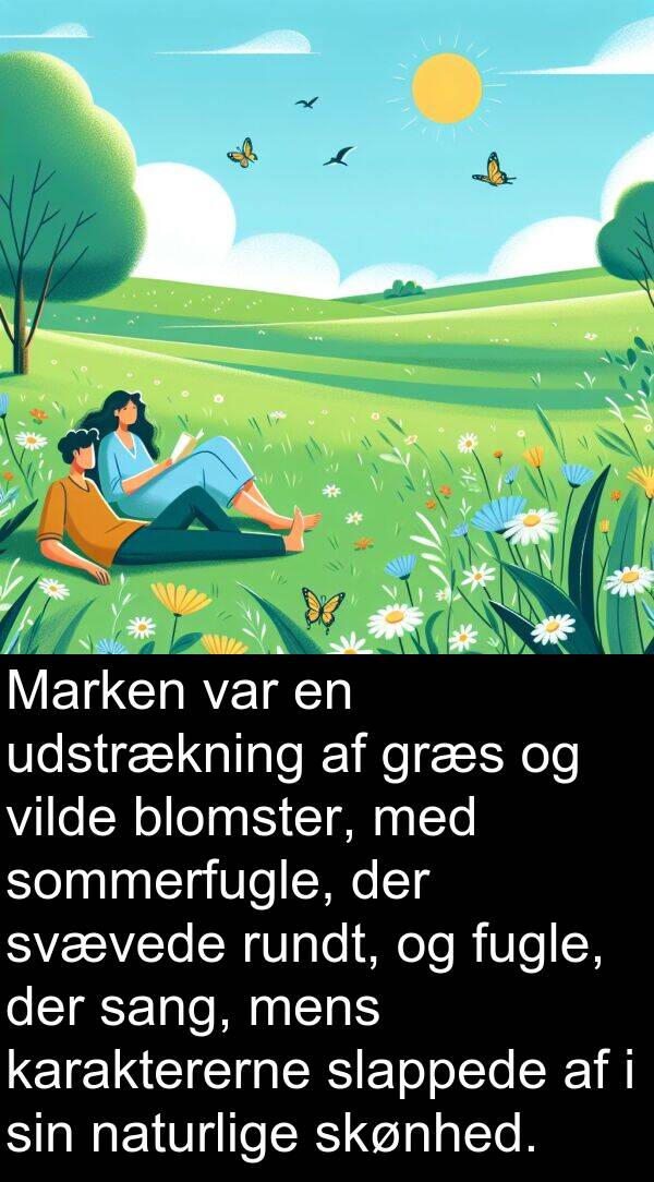 vilde: Marken var en udstrækning af græs og vilde blomster, med sommerfugle, der svævede rundt, og fugle, der sang, mens karaktererne slappede af i sin naturlige skønhed.