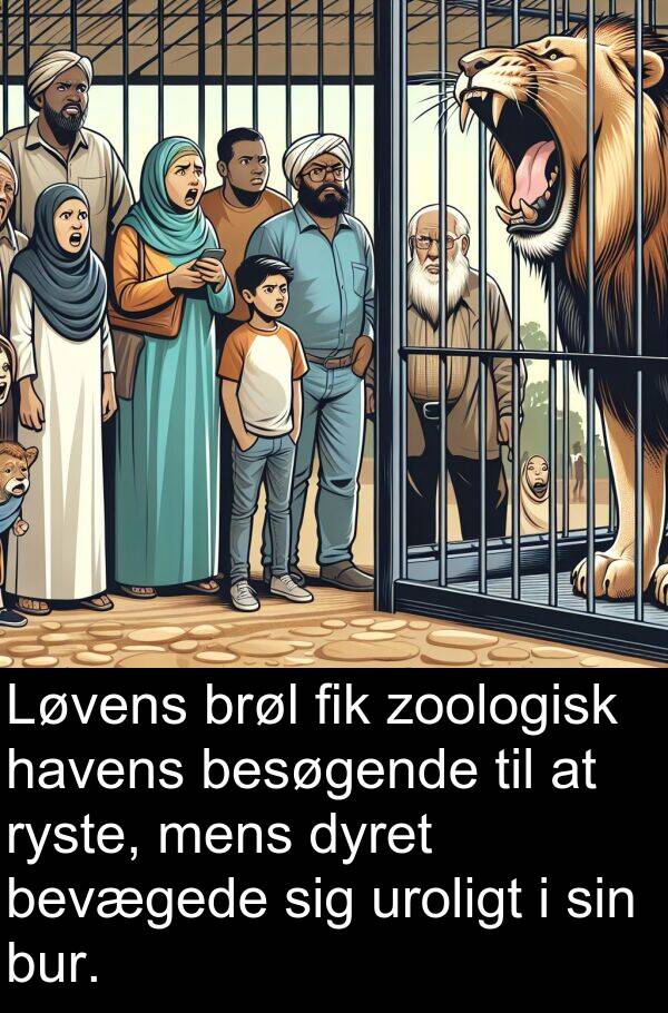 havens: Løvens brøl fik zoologisk havens besøgende til at ryste, mens dyret bevægede sig uroligt i sin bur.