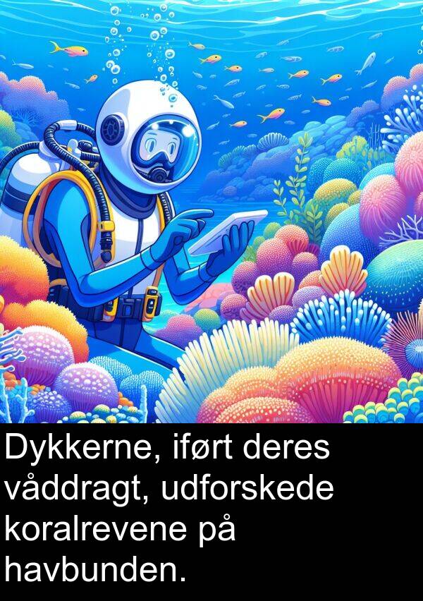 koralrevene: Dykkerne, iført deres våddragt, udforskede koralrevene på havbunden.