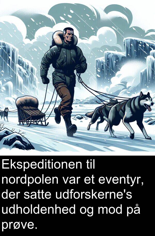 udholdenhed: Ekspeditionen til nordpolen var et eventyr, der satte udforskerne's udholdenhed og mod på prøve.
