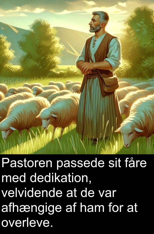 velvidende: Pastoren passede sit fåre med dedikation, velvidende at de var afhængige af ham for at overleve.