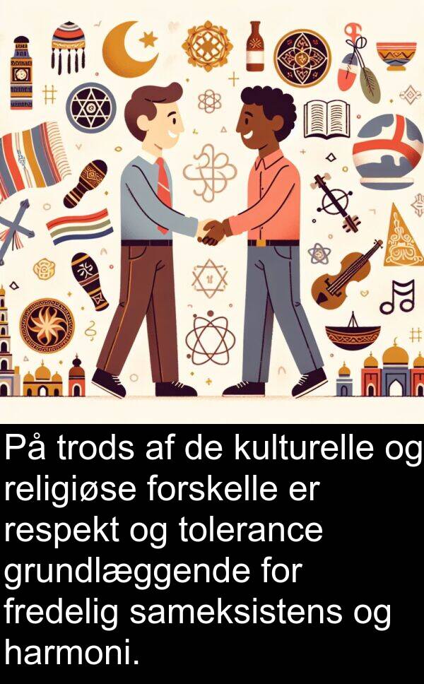 kulturelle: På trods af de kulturelle og religiøse forskelle er respekt og tolerance grundlæggende for fredelig sameksistens og harmoni.