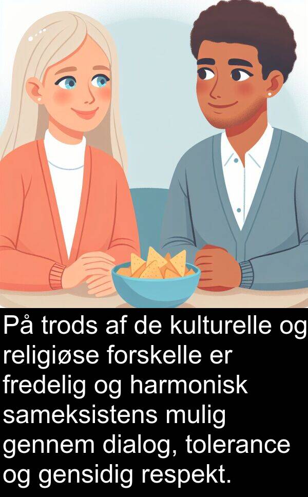 kulturelle: På trods af de kulturelle og religiøse forskelle er fredelig og harmonisk sameksistens mulig gennem dialog, tolerance og gensidig respekt.