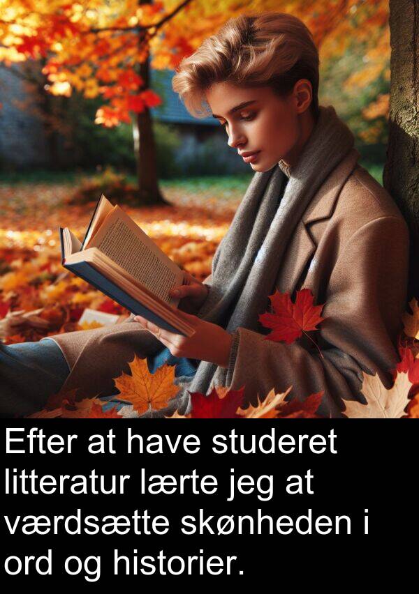 værdsætte: Efter at have studeret litteratur lærte jeg at værdsætte skønheden i ord og historier.