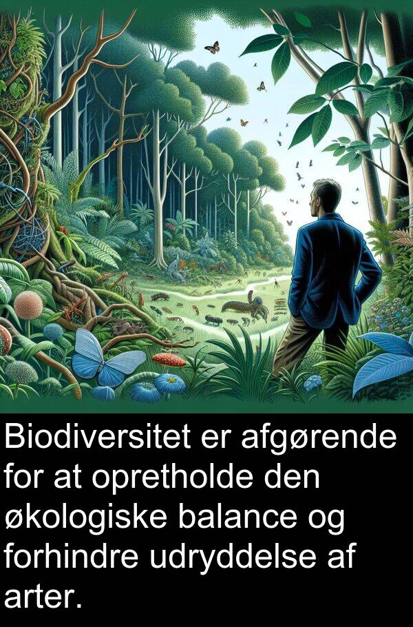 økologiske: Biodiversitet er afgørende for at opretholde den økologiske balance og forhindre udryddelse af arter.