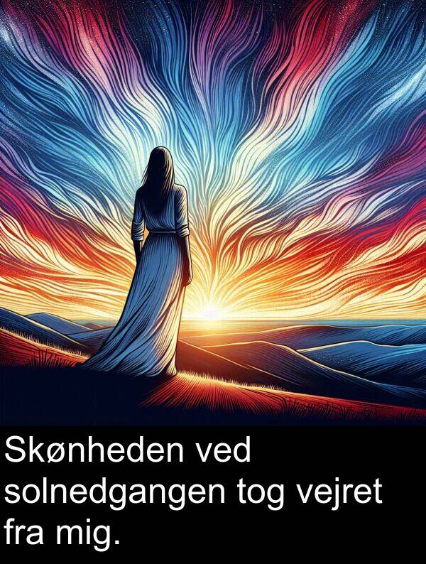 vejret: Skønheden ved solnedgangen tog vejret fra mig.