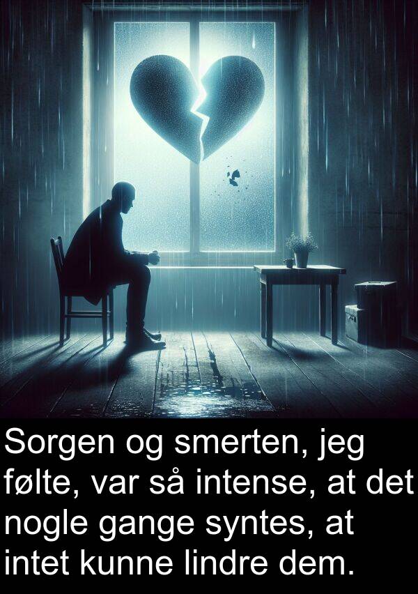 gange: Sorgen og smerten, jeg følte, var så intense, at det nogle gange syntes, at intet kunne lindre dem.