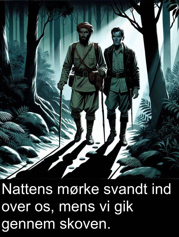 ind: Nattens mørke svandt ind over os, mens vi gik gennem skoven.
