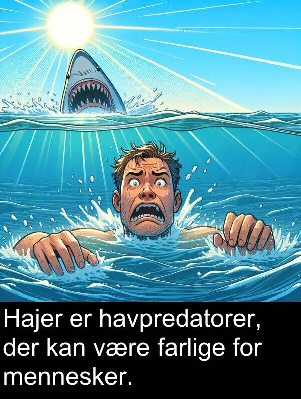 være: Hajer er havpredatorer, der kan være farlige for mennesker.