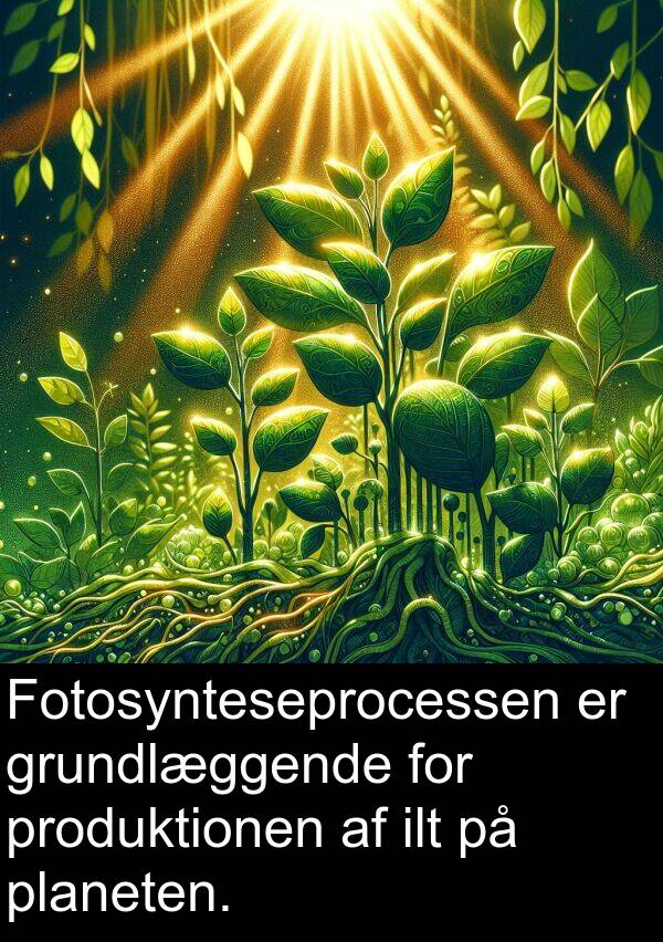grundlæggende: Fotosynteseprocessen er grundlæggende for produktionen af ilt på planeten.