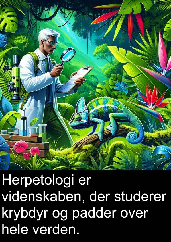 krybdyr: Herpetologi er videnskaben, der studerer krybdyr og padder over hele verden.