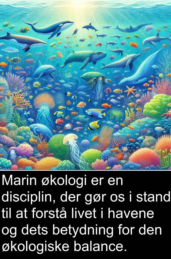 økologiske: Marin økologi er en disciplin, der gør os i stand til at forstå livet i havene og dets betydning for den økologiske balance.