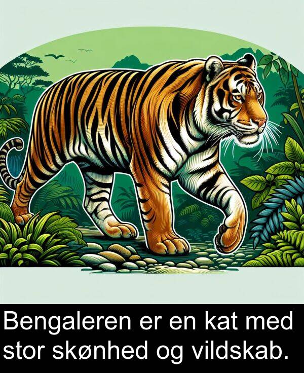 kat: Bengaleren er en kat med stor skønhed og vildskab.
