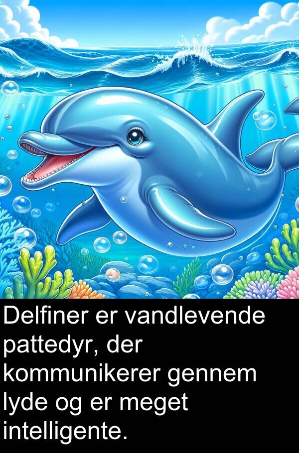 vandlevende: Delfiner er vandlevende pattedyr, der kommunikerer gennem lyde og er meget intelligente.