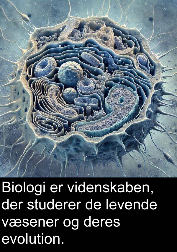 væsener: Biologi er videnskaben, der studerer de levende væsener og deres evolution.