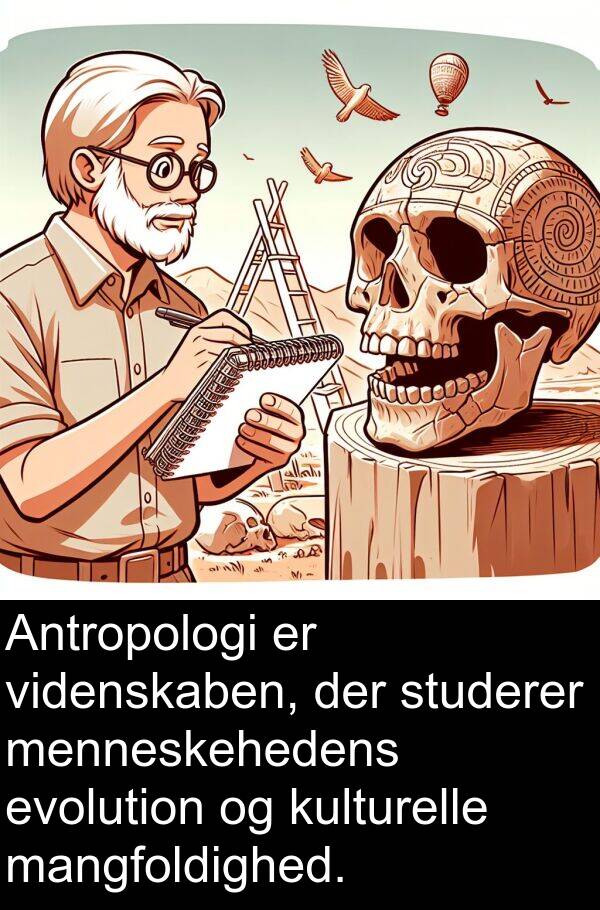 kulturelle: Antropologi er videnskaben, der studerer menneskehedens evolution og kulturelle mangfoldighed.