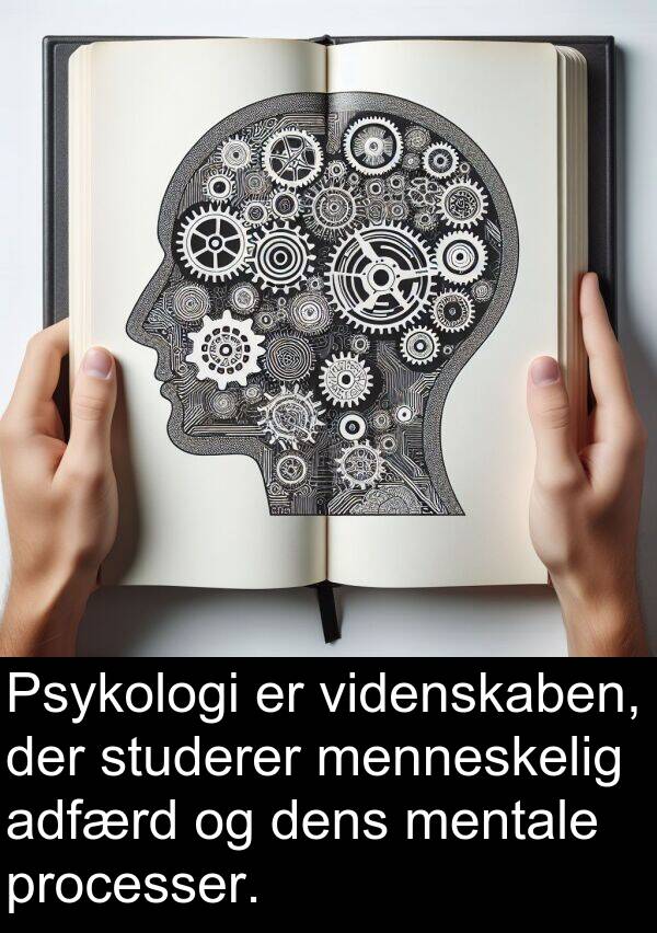 processer: Psykologi er videnskaben, der studerer menneskelig adfærd og dens mentale processer.