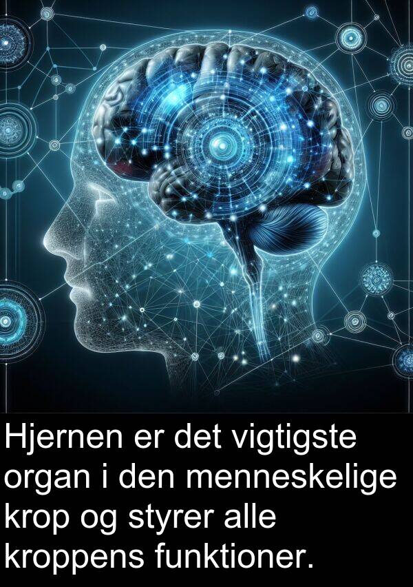 kroppens: Hjernen er det vigtigste organ i den menneskelige krop og styrer alle kroppens funktioner.