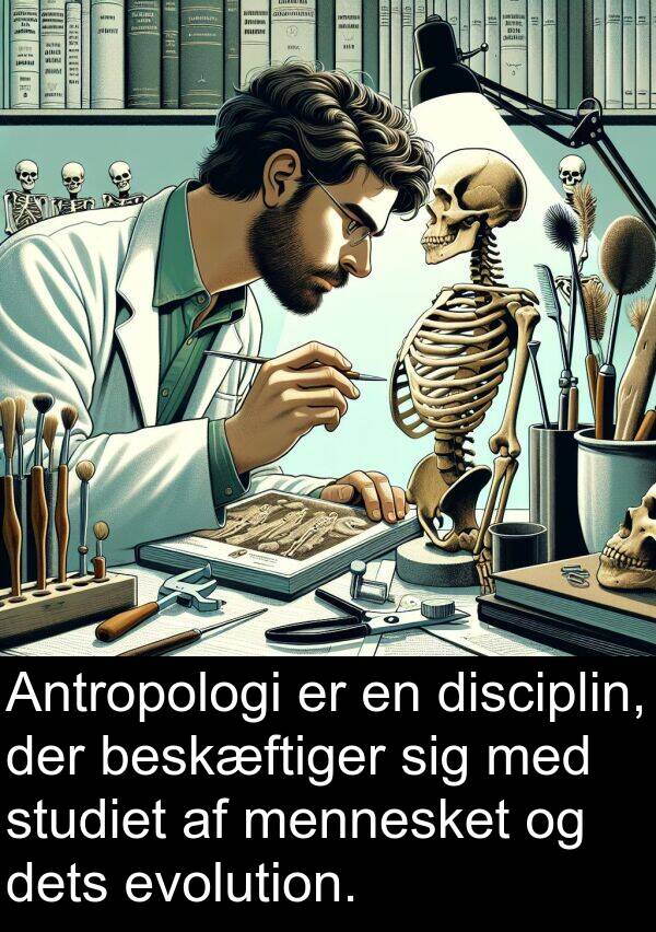 mennesket: Antropologi er en disciplin, der beskæftiger sig med studiet af mennesket og dets evolution.