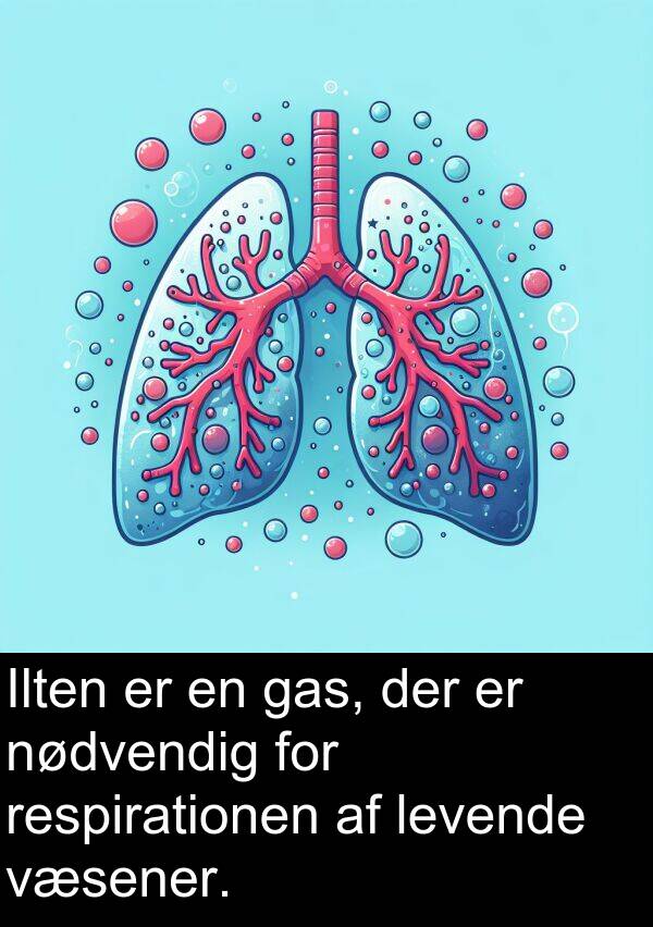væsener: Ilten er en gas, der er nødvendig for respirationen af levende væsener.