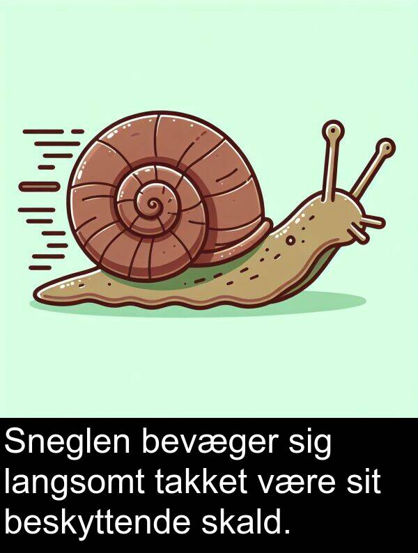 takket: Sneglen bevæger sig langsomt takket være sit beskyttende skald.